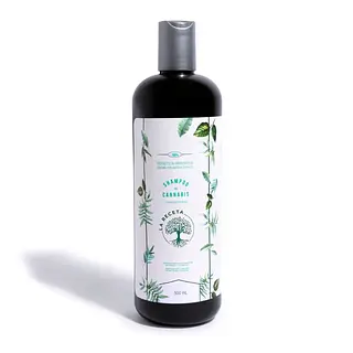 Shampoo De Cannabis Variedad Argán Cbd